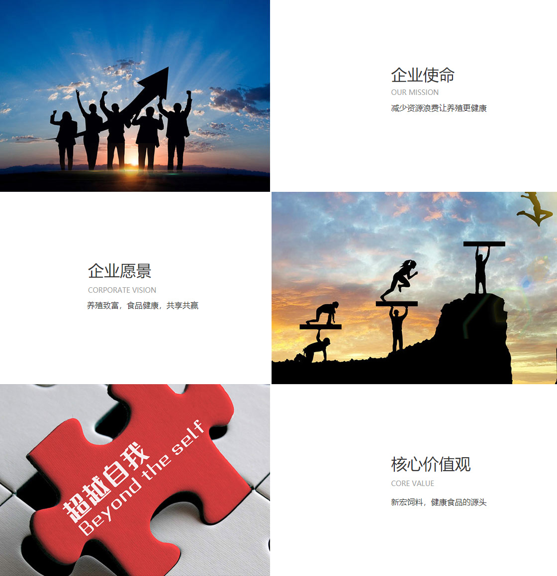 雷火亚洲电竞第一品牌(图1)